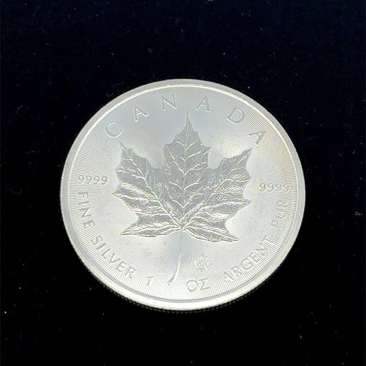 Silbermünze 1 Unze Maple Leaf 2019 aus Kanada, feines 999,9 Silberschmuck mit Ahornblatt-Design, Rückseite sichtbar