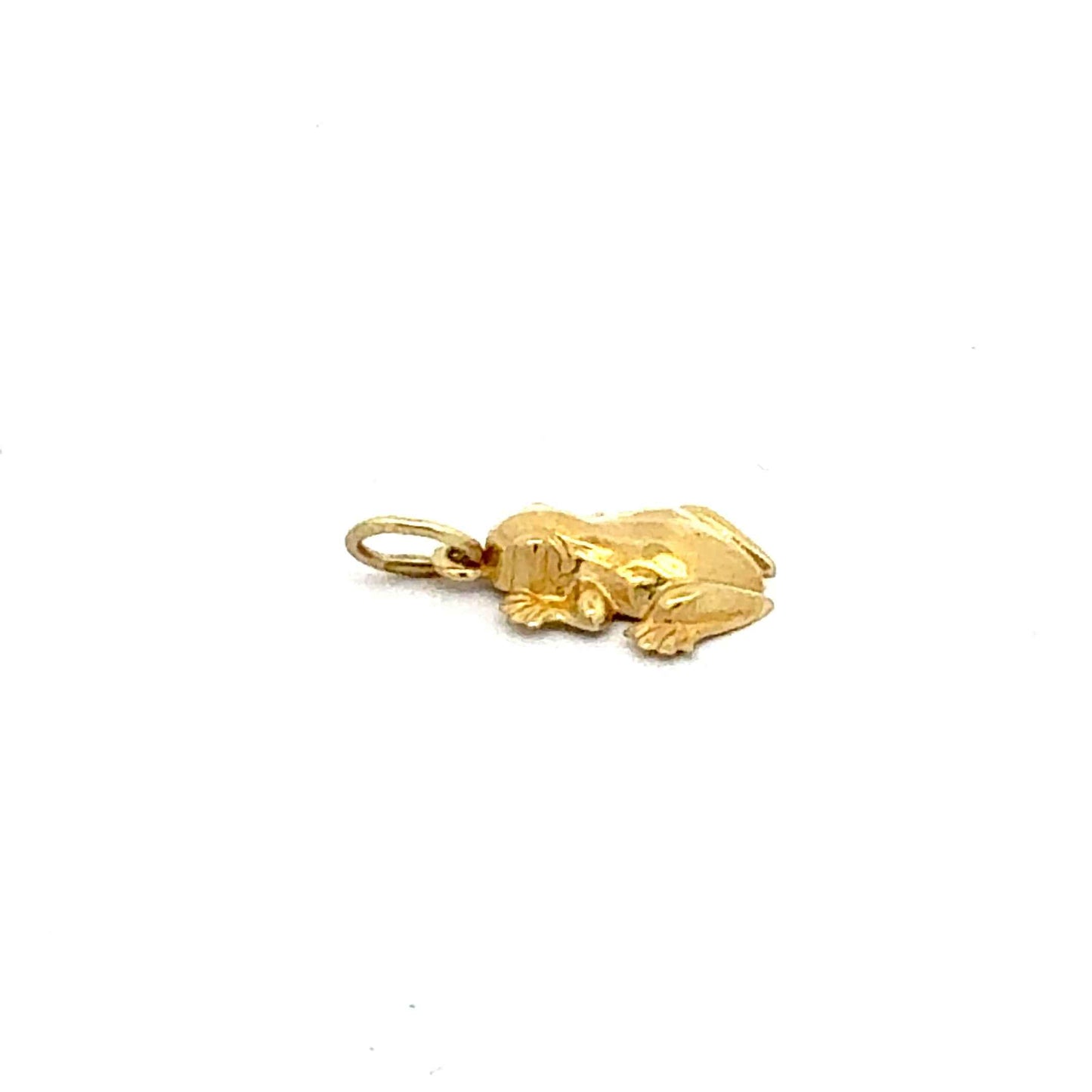 Frosch Anhänger Gelbgold 333 - Eleganter Schmuck – Juwelier Alen