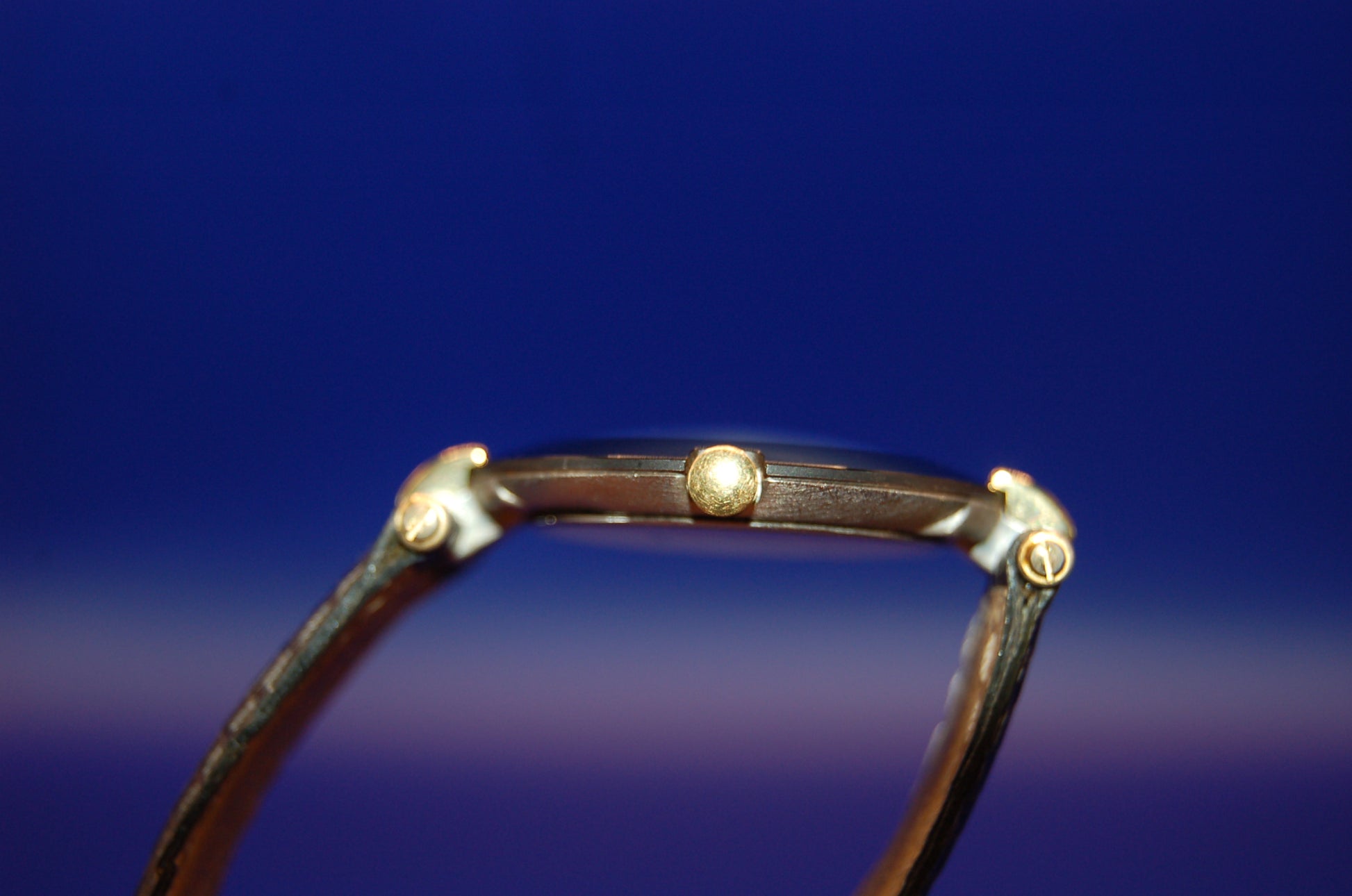 Longines La Grande Classique 2010 - Seitenansicht 