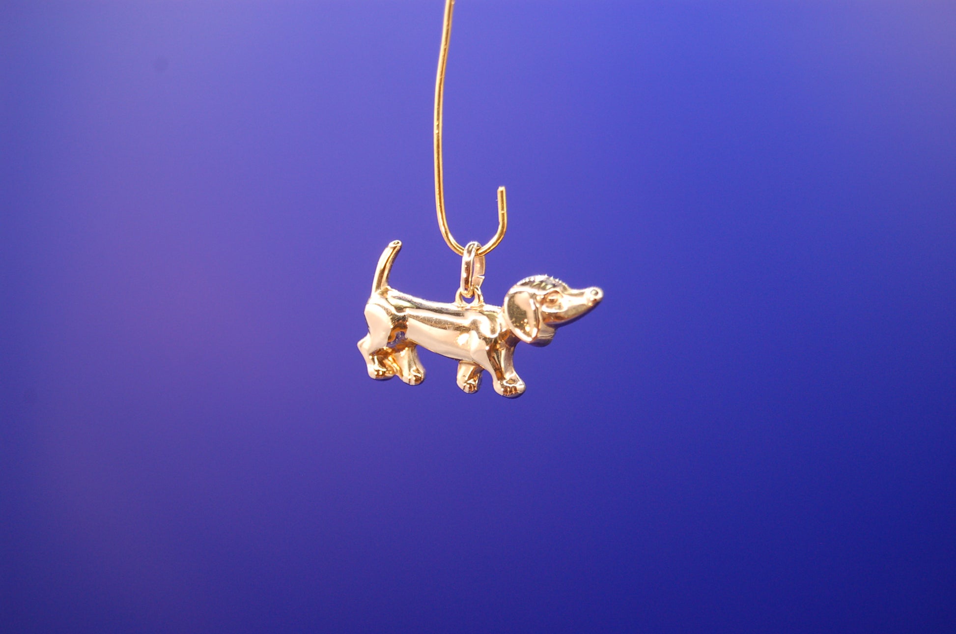 Goldener Dackel-Anhänger 14 Karat - Detailaufnahme des niedlichen Hundemotivs