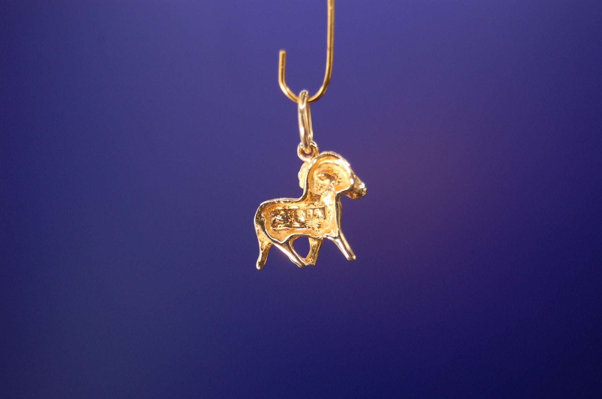 585er Gelbgold Steinbock Anhänger - Nahaufnahme des astrologischen Designs
