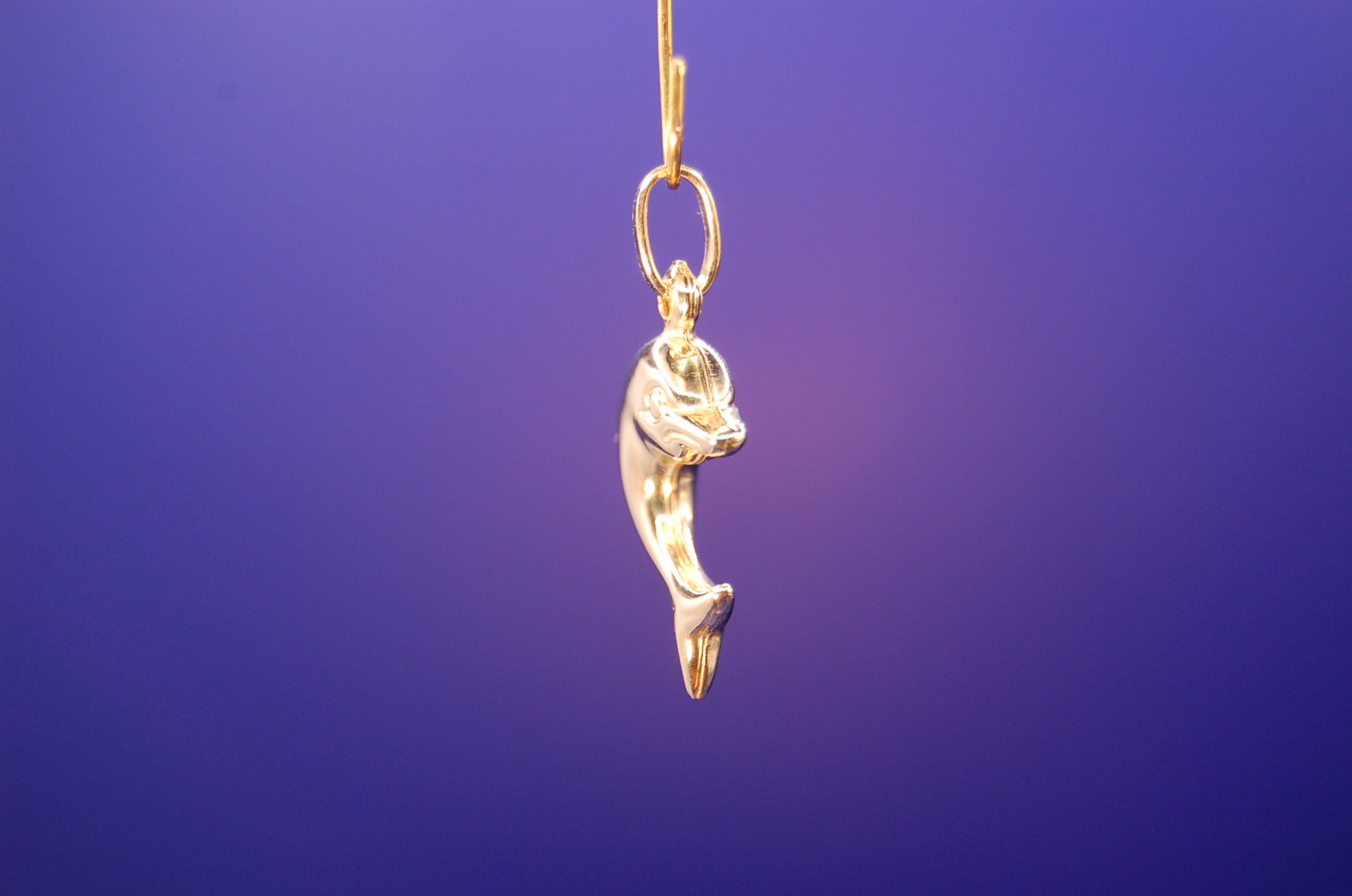 Goldener Delfin-Anhänger 14 Karat - Seitenansicht mit maritimem Charakter