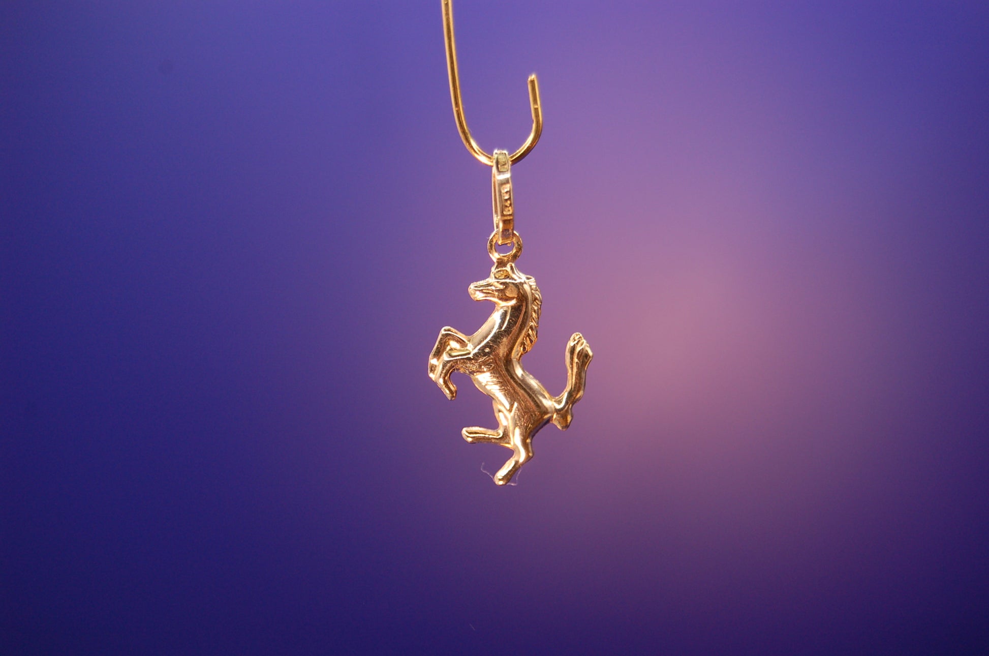 Goldener Pferde-Anhänger 14 Karat - Detailaufnahme des eleganten Pferdemotivs