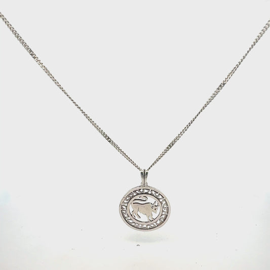 Silberkette 925 mit Stier-Anhänger 42cm - Produktvideo zeigt Details